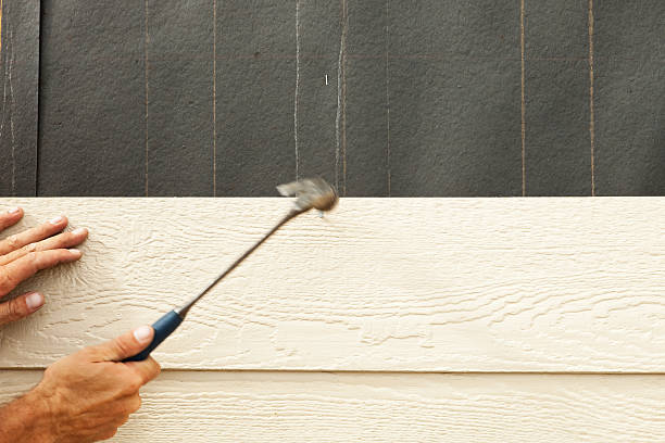Best Vinyl Siding Installation  in Conneaut Lakeshore, PA